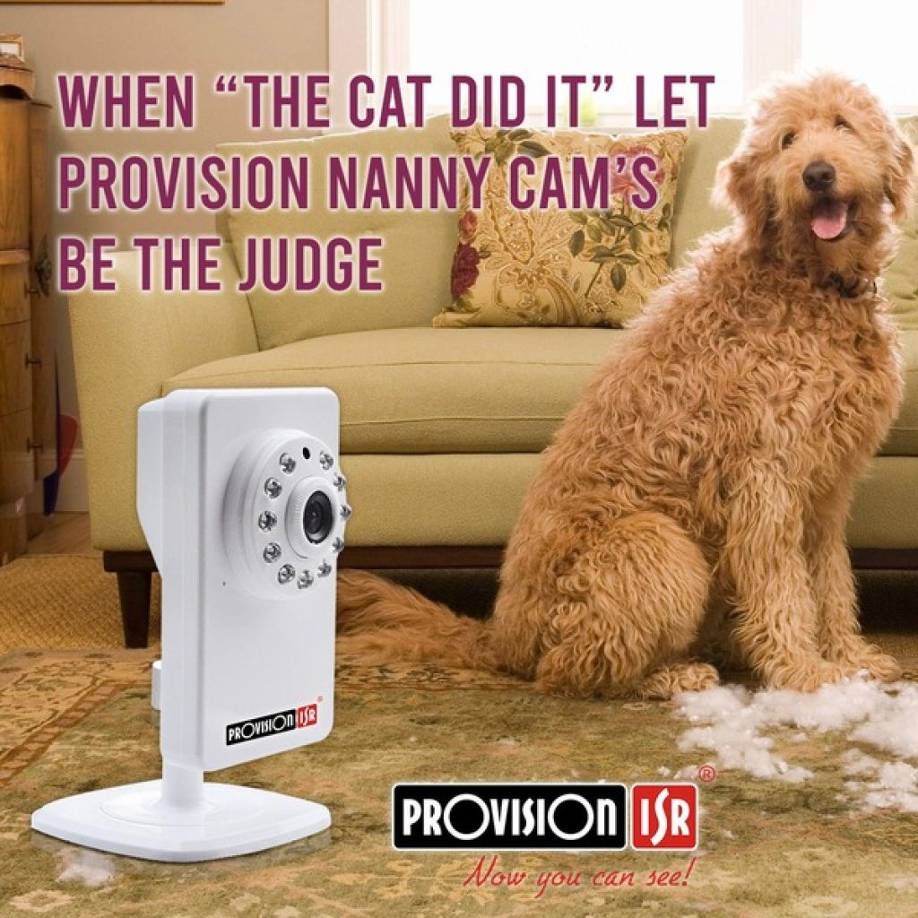 Provision Nanny Cam